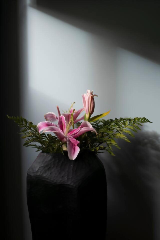 Maison Et Studio Lorangerie روما المظهر الخارجي الصورة